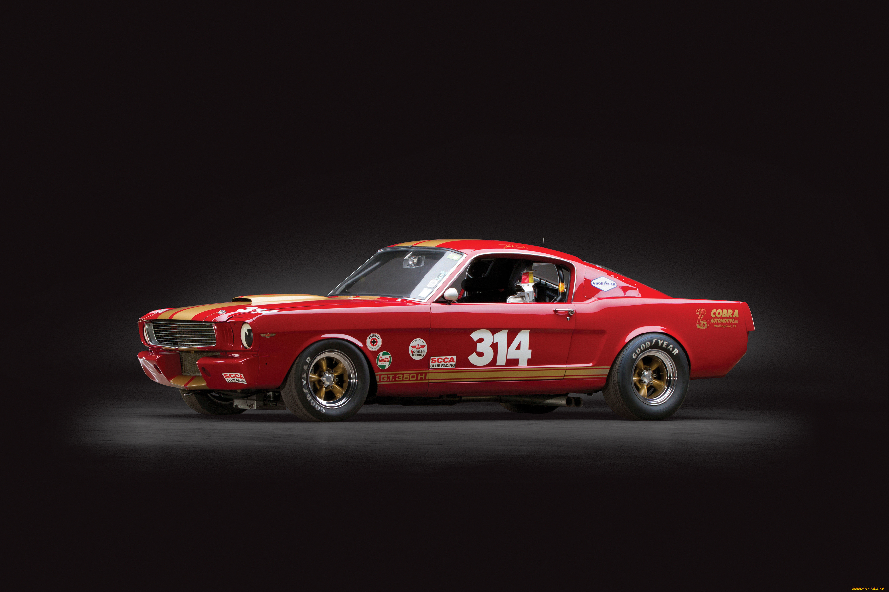 , mustang